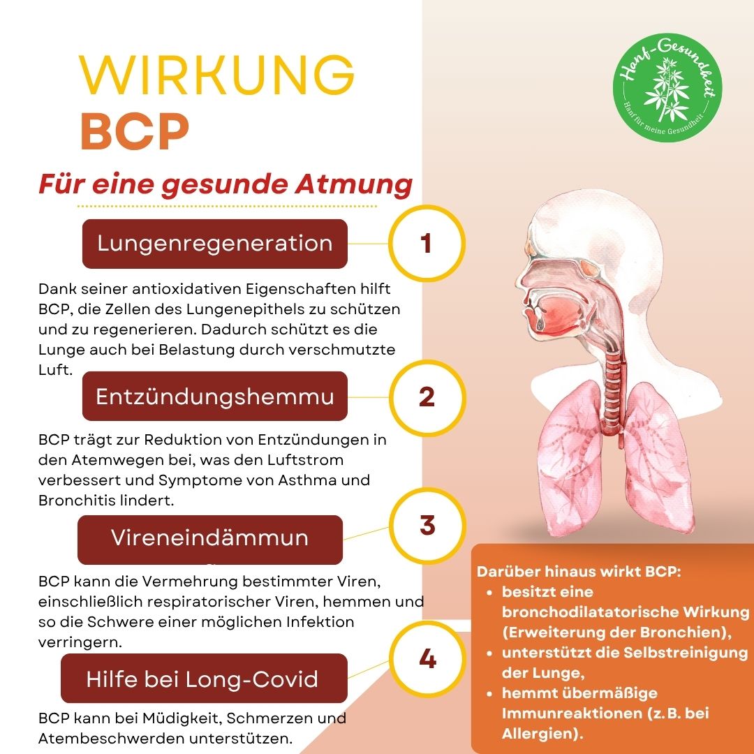 BCP wirkung
